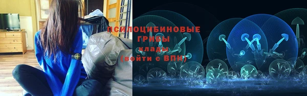 сатива Беломорск