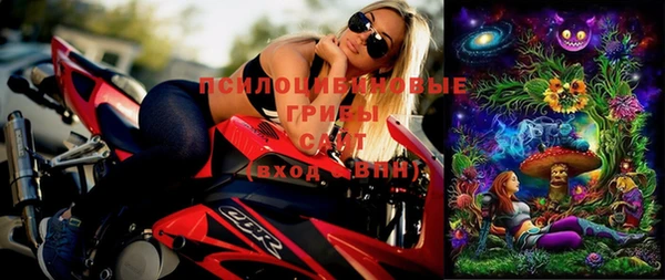 дурь Россошь