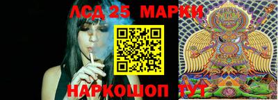 дживик Гатчина