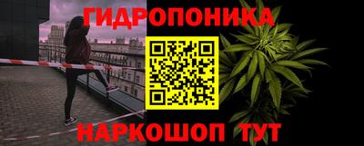 молекула духа Гагарин