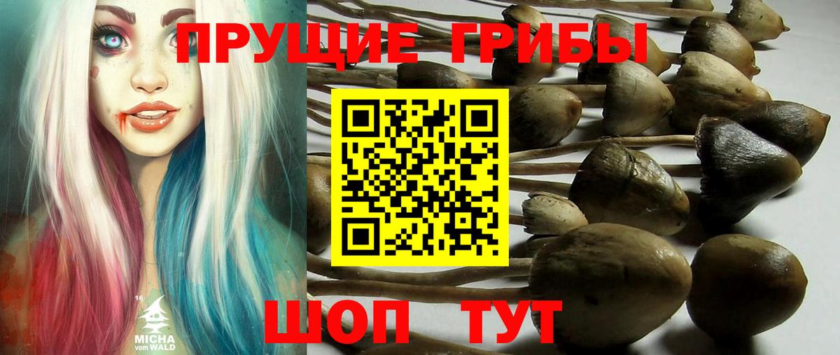 Гашиш Иваново