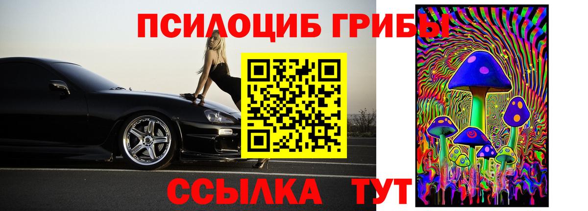 Галлюциногенные грибы Psilocybine cubensis  сколько стоит  Псилоцибиновые грибы MAGIC MUSHROOMS  Иваново 